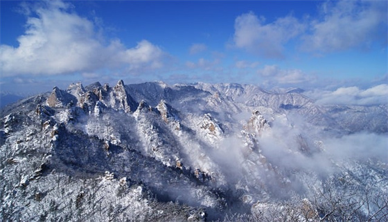 風(fēng)力發(fā)電場(chǎng)安全規(guī)程的管理現(xiàn)狀？
