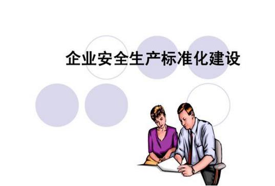企業(yè)安全如何實現(xiàn)標準化